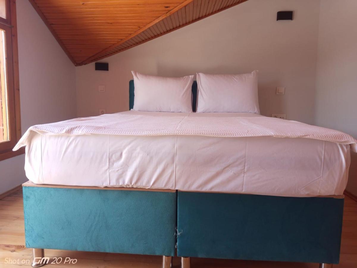 Buyukada Cinar Hotel (Adults Only) 아달라르 외부 사진